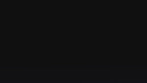 Timbers (Black + Polarized)